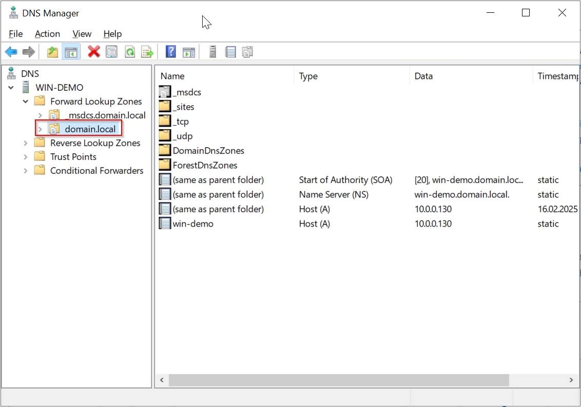 DNS Manager som viser Forward Lookup Zones