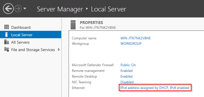 NIC / Ethernet i Server Manager